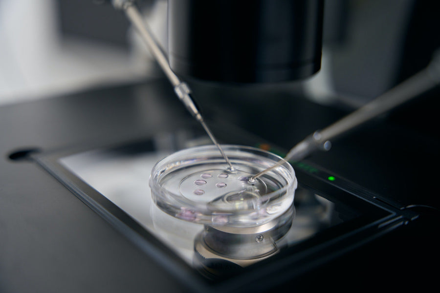 DIAMANTI LAB GROW - Facciamo Chiarezza